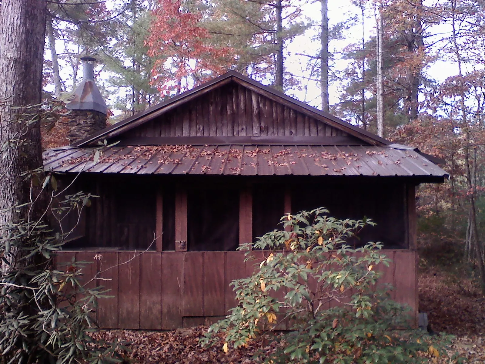 Metal roof over the screened porch of a rustic cabin in Fort Gratiot